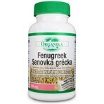 ORGANIKA Fenugreek 1×60 cps, supliment alimentar