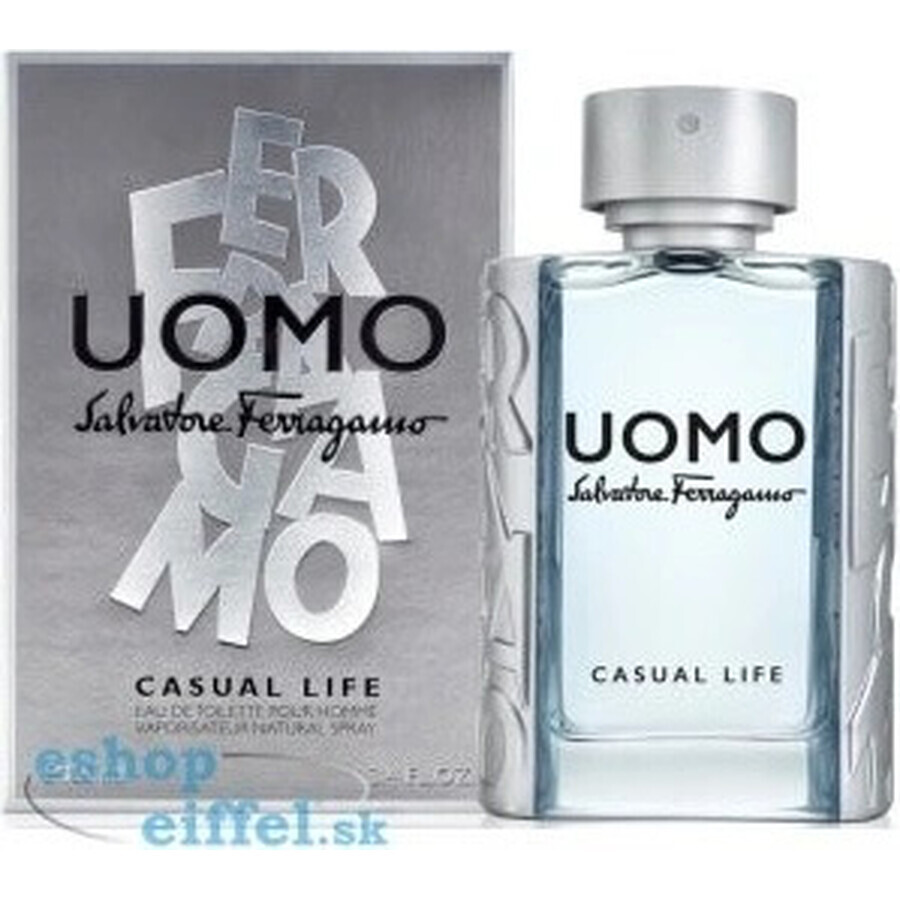 Salvatore Ferragamo Uomo Cl Edt 100ml 1×100 ml, Eau de toilette