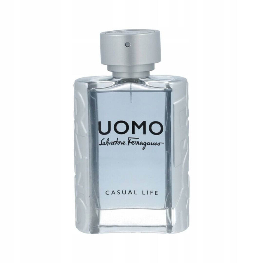 Salvatore Ferragamo Uomo Cl Edt 100ml 1×100 ml, Eau de toilette