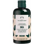 The Body Shop Conditioner for dry and brittle hair Shea Shea 1×250 ml, conditioner