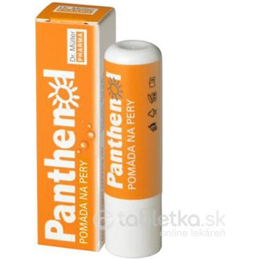 PANTHENOL PERY POMADE 4.4G DR.MULLER 1×1 ud, para labios secos