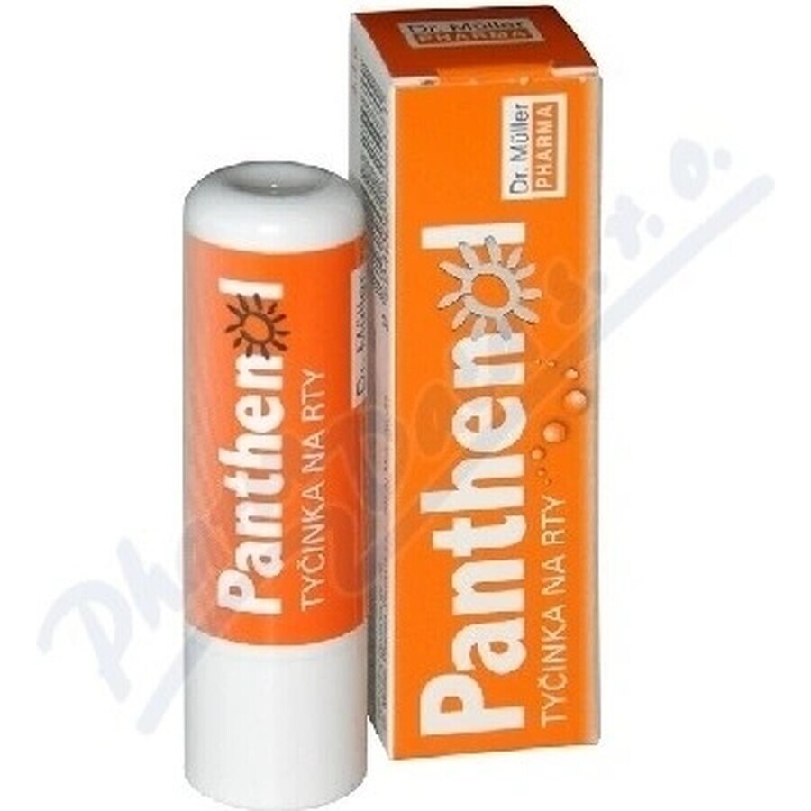 PANTHENOL PERY POMADE 4.4G DR.MULLER 1×1 ud, para labios secos