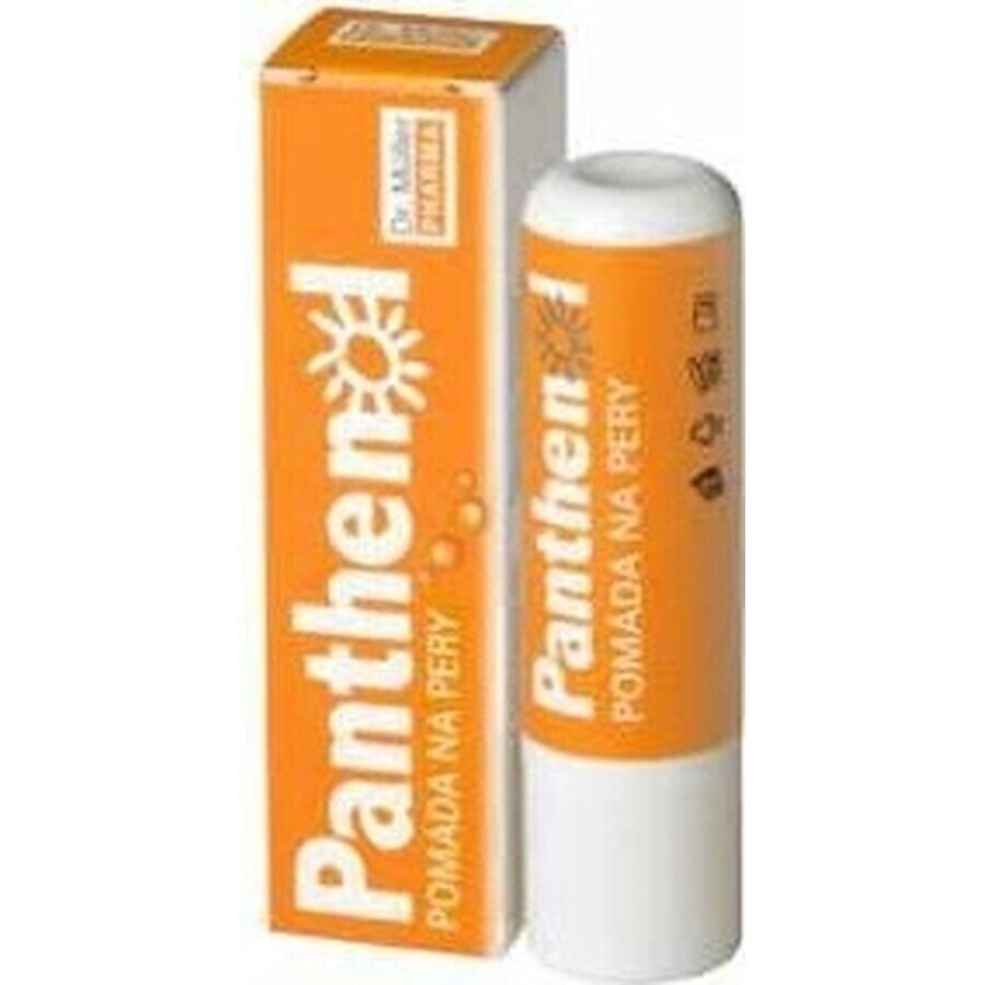 PANTHENOL PERY POMADE 4.4G DR.MULLER 1×1 ud, para labios secos