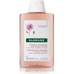 KLORANE SHAMPOO mit Bio-Pfingstrose 1×200ml, Shampoo für empfindliche und gereizte Kopfhaut