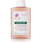 KLORANE SHAMPOO mit Bio-Pfingstrose 1×200ml, Shampoo für empfindliche und gereizte Kopfhaut