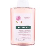 KLORANE SHAMPOO mit Bio-Pfingstrose 1×200ml, Shampoo für empfindliche und gereizte Kopfhaut