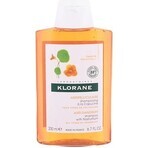 KLORANE SHAMPOO mit Bio-Pfingstrose 1×200ml, Shampoo für empfindliche und gereizte Kopfhaut