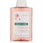 KLORANE SHAMPOO mit Bio-Pfingstrose 1×200ml, Shampoo für empfindliche und gereizte Kopfhaut