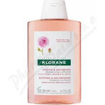 KLORANE SHAMPOO mit Bio-Pfingstrose 1×200ml, Shampoo für empfindliche und gereizte Kopfhaut