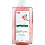 KLORANE SHAMPOO mit Bio-Pfingstrose 1×200ml, Shampoo für empfindliche und gereizte Kopfhaut