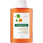 KLORANE SHAMPOO mit Bio-Pfingstrose 1×200ml, Shampoo für empfindliche und gereizte Kopfhaut