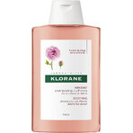 KLORANE SHAMPOO mit Bio-Pfingstrose 1×200ml, Shampoo für empfindliche und gereizte Kopfhaut