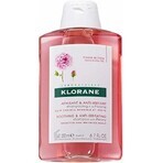 KLORANE SHAMPOO mit Bio-Pfingstrose 1×200ml, Shampoo für empfindliche und gereizte Kopfhaut