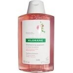 KLORANE SHAMPOO mit Bio-Pfingstrose 1×200ml, Shampoo für empfindliche und gereizte Kopfhaut