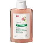 KLORANE SHAMPOO mit Bio-Pfingstrose 1×200ml, Shampoo für empfindliche und gereizte Kopfhaut