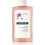 KLORANE SHAMPOO mit Bio-Pfingstrose 1×200ml, Shampoo für empfindliche und gereizte Kopfhaut