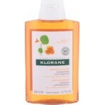 KLORANE SHAMPOO mit Bio-Pfingstrose 1×200ml, Shampoo für empfindliche und gereizte Kopfhaut