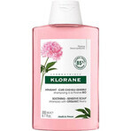 KLORANE SHAMPOO mit Bio-Pfingstrose 1×200ml, Shampoo für empfindliche und gereizte Kopfhaut