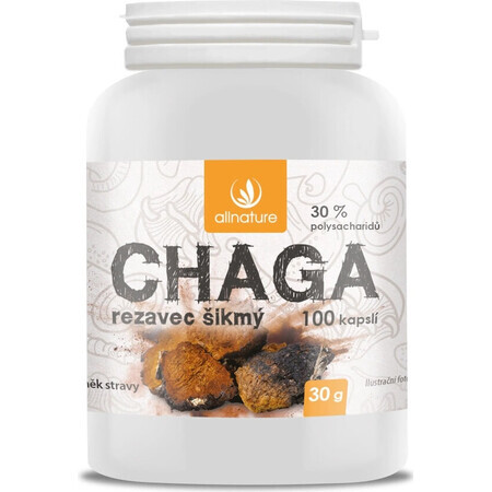 Allnature Chaga 1×100 cps, supliment alimentar