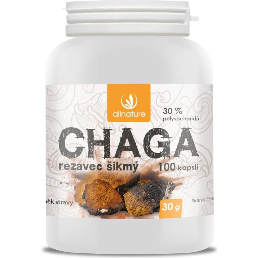 Allnature Chaga 1×100 cps, supliment alimentar