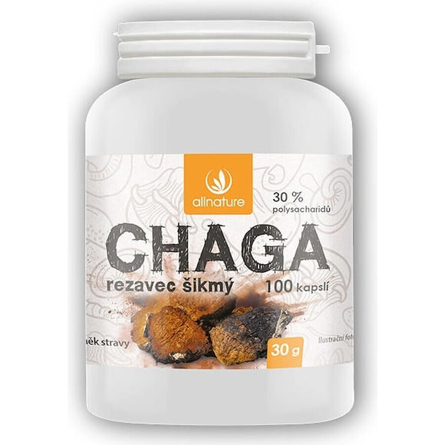 Allnature Chaga 1×100 cps, supliment alimentar