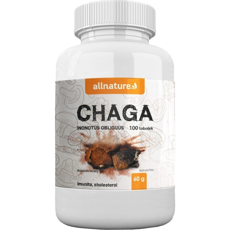 Allnature Chaga 1×100 cps, supliment alimentar