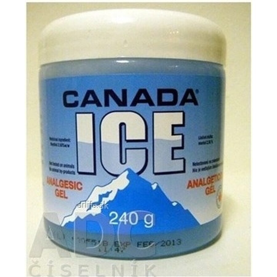 CANADA ICE GEL 1×240 ml, analgezic