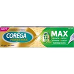 COREGA MAX Firming + Freshness 1×40 g, crème raffermissante à tenue forte