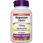 WEBBER NATURALS Magnesium 150 mg 1×60 tbl, food supplement