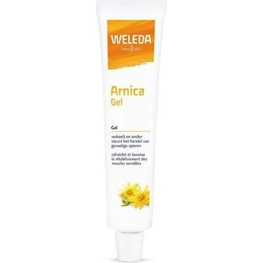 Allga San Arnica gel 1×100 ml, gel antiinflamator