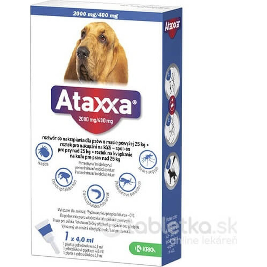 Ataxxa 2000 mg/400 mg (perros de más de 25 kg) 1×4 ml, solución para perros