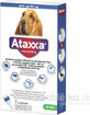 Ataxxa 2000 mg/400 mg (c&#226;ini peste 25 kg) 1&#215;4 ml, soluție pentru c&#226;ini