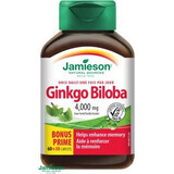 JAMIESON GINKGO BILOBA 1×90 tbl, ginkgo