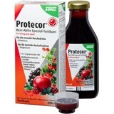 SALUS Protecor Aktiv Herz Kräutertonikum 1x250 ml