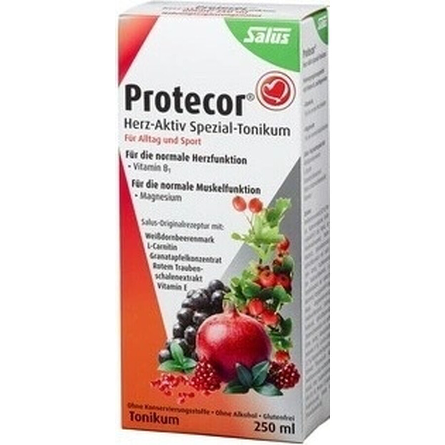 SALUS Protecor Tonico attivo per il cuore 1x250 ml