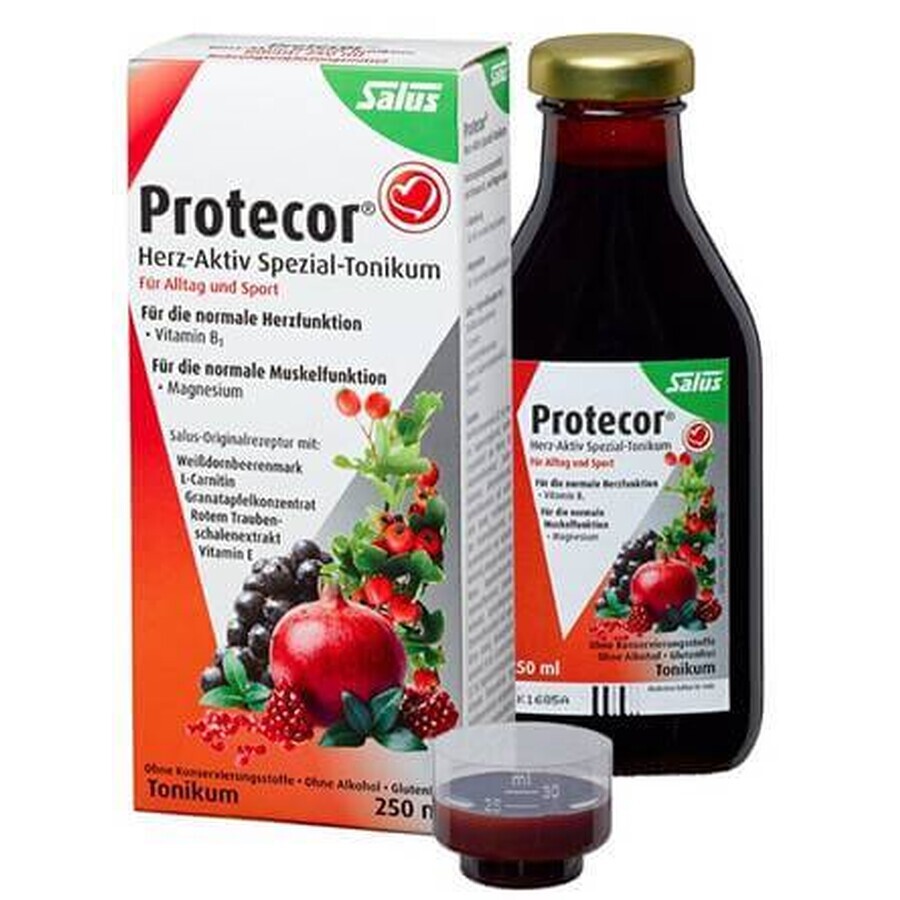 SALUS Protecor Tonico attivo per il cuore 1x250 ml