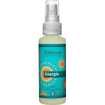 SALOOS Spray de aer Aroma Eucalipt 1×50 ml aromă