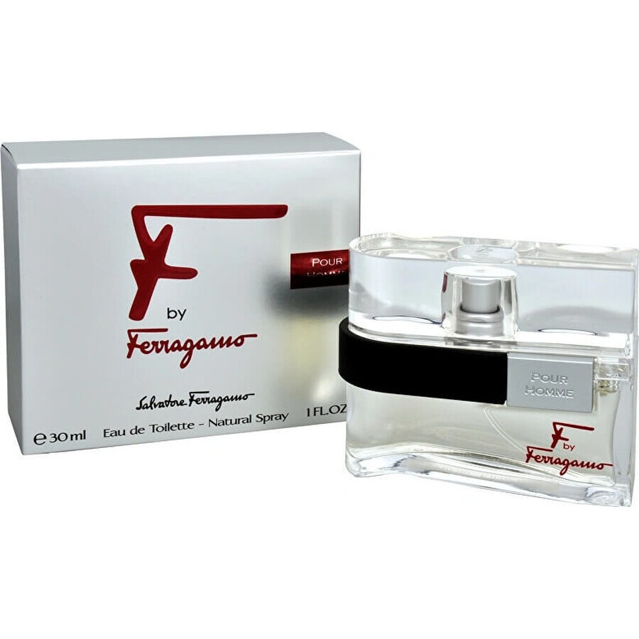 Salvatore Ferragamo F Pour Homme Edt 100ml 1×100 ml, apă de toaletă