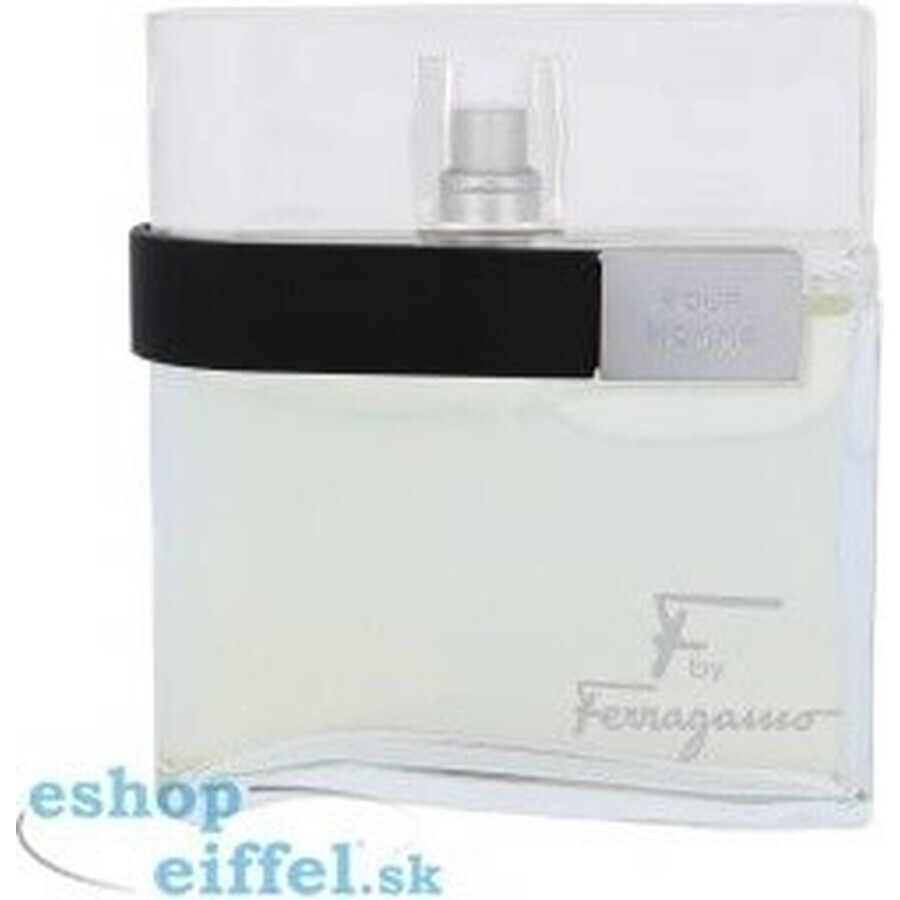 Salvatore Ferragamo F Pour Homme Edt 100ml 1×100 ml, apă de toaletă