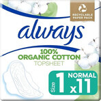 Always Cotton 11pcs Normal 1×11 buc, tampoane