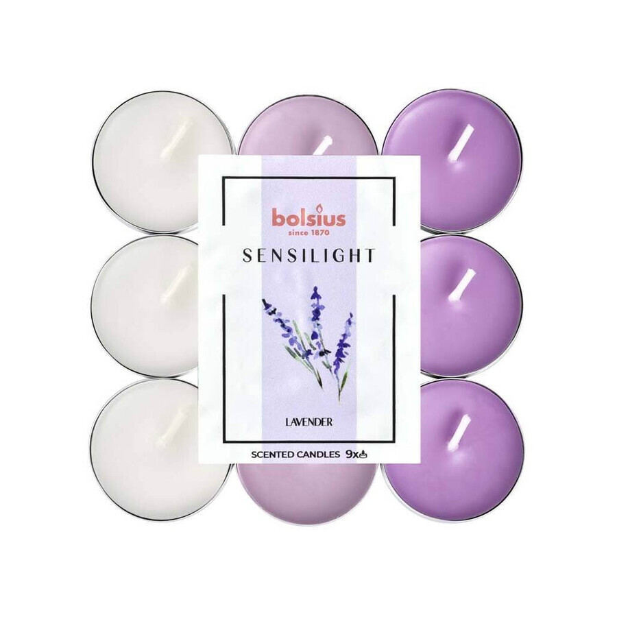 BOLSIUS Sensilight LAVENDER Tea Lights Sensilight LAVENDER 1×9 pezzi, tricolore