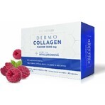 DermoCollagen Marine 3500 mg ProVenus 1×30 piezas, sabor frambuesa