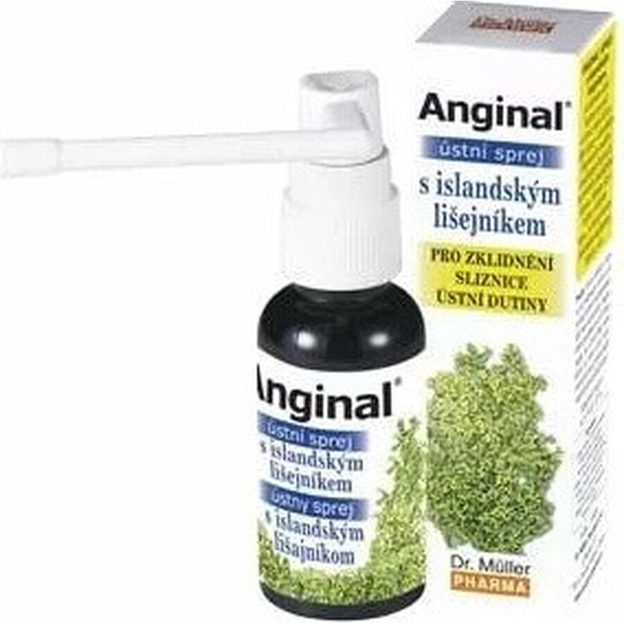 Dr. Müller ANGINAL Oral Spray 1×30 ml, oral spray