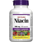 WEBBER NATURALS Niacin B3 500 mg non allergène ! 1×90 cps, complément alimentaire