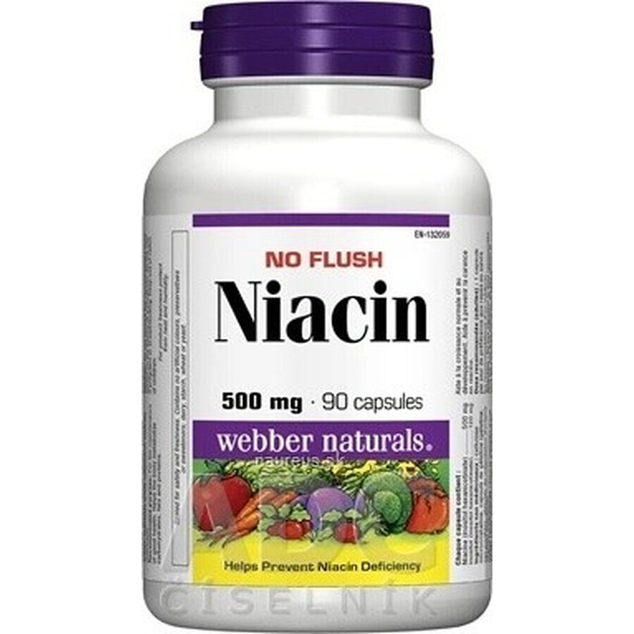 WEBBER NATURALS Niacin B3 500 mg non allergène ! 1×90 cps, complément alimentaire