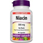 WEBBER NATURALS Niacin B3 500 mg non allergène ! 1×90 cps, complément alimentaire