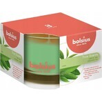 Bolsius Aromatic 2.0 Vela perfumada de vidrio con té verde 1×1 unidad, tamaño 90 x 63 mm