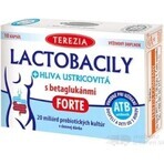 TEREZIA LACTOBACILY + USTRICOUS FUNGUS 1x10 cps, cu betaglucani FORTE