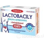 TEREZIA LACTOBACILY + USTRICOUS FUNGUS 1x10 cps, cu betaglucani FORTE