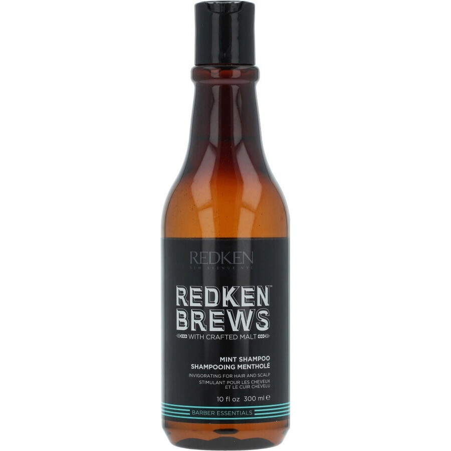 Redken Men's Invigorating Mint Hair Champú Brebajes 1×300 ml, champú